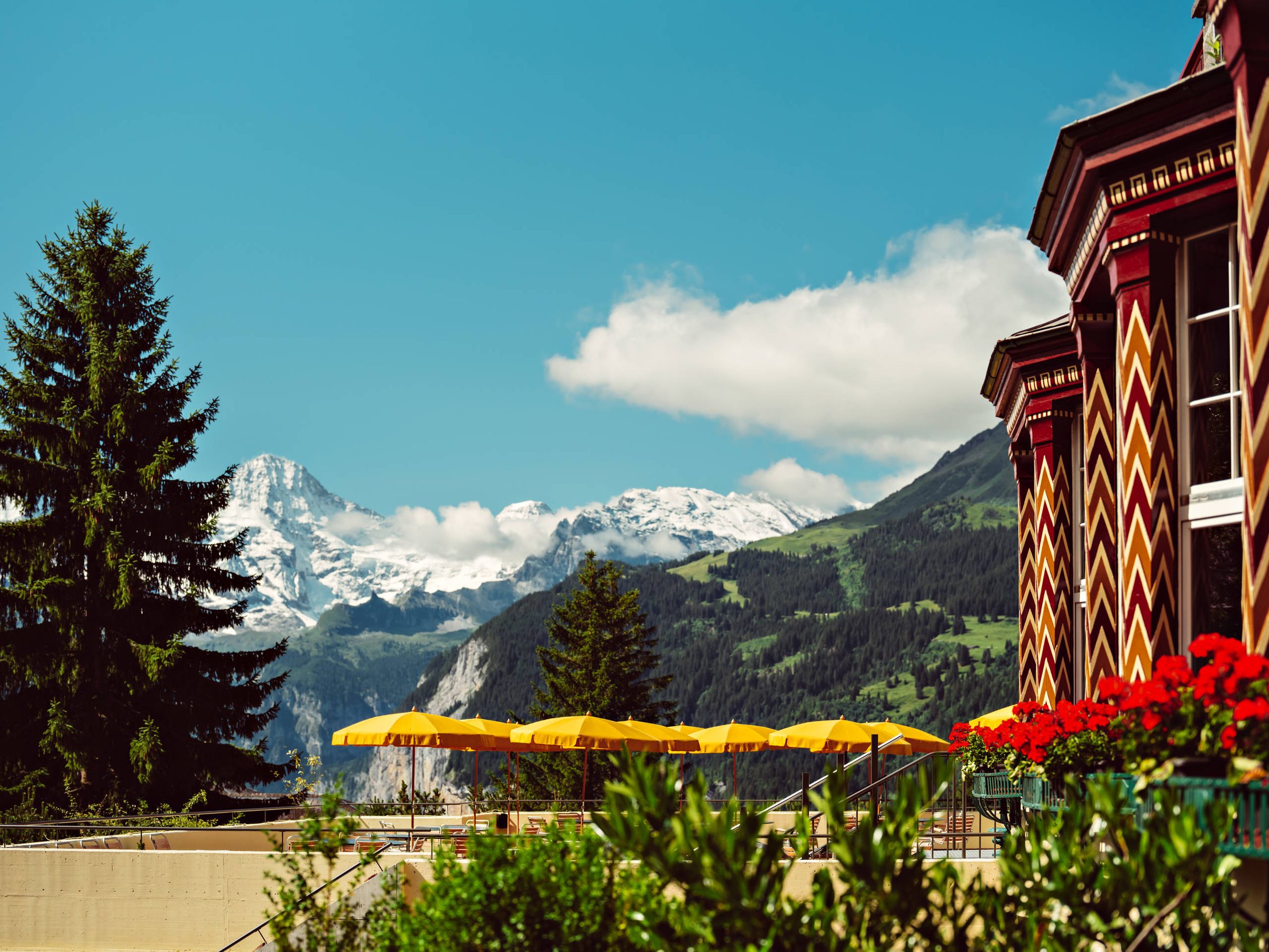 The Belvedere's painted red and ochre columns, yellow terrace parasols, and the Jungfrau massif behind in summer